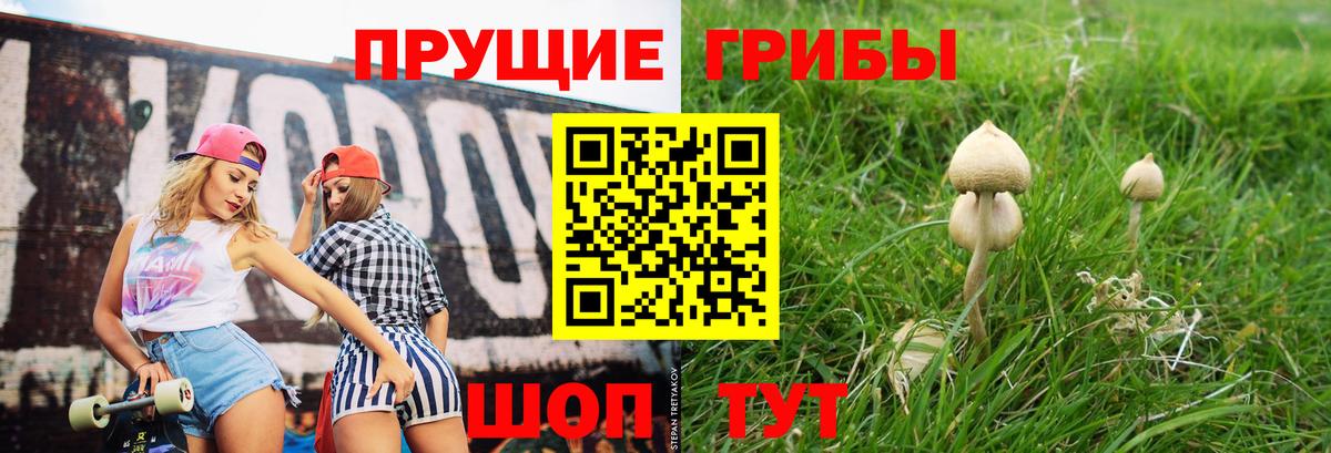 Галлюциногенные грибы прущие грибы  Вход с VPN  Кызыл  Псилоцибиновые грибы Cubensis 