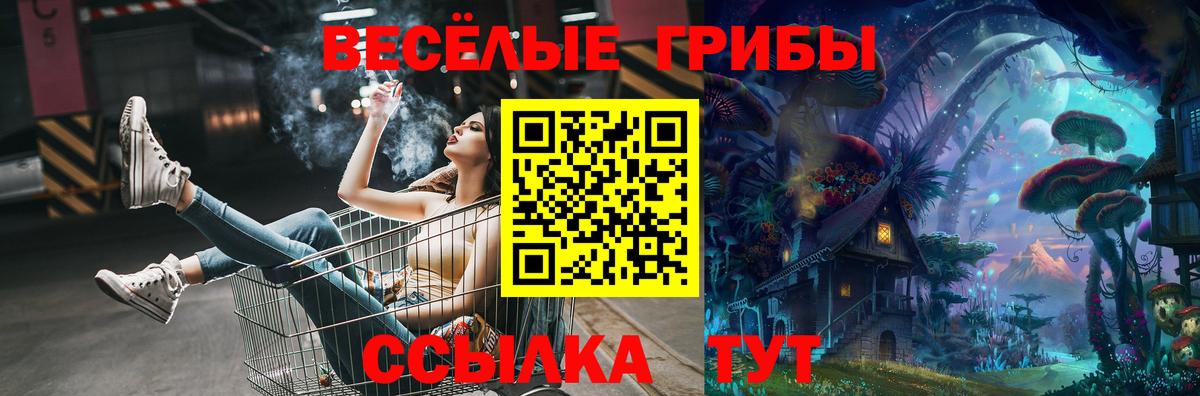 Галлюциногенные грибы Psilocybine cubensis Кызыл